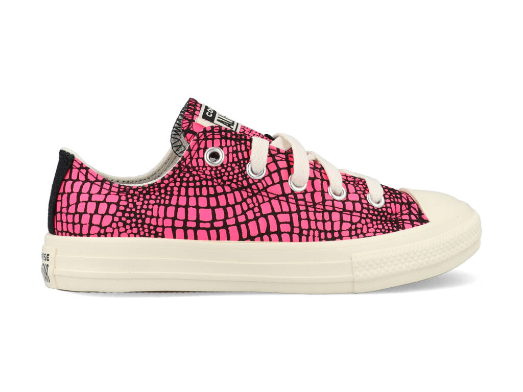 Converse All Stars Chuck Taylor 670461C Roze-27